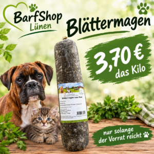 Ein Boxer und eine kleine Katze und eine Wurst mit dunklem Inhalt sind zu sehen