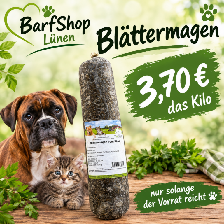 Ein Boxer und eine kleine Katze und eine Wurst mit dunklem Inhalt sind zu sehen
